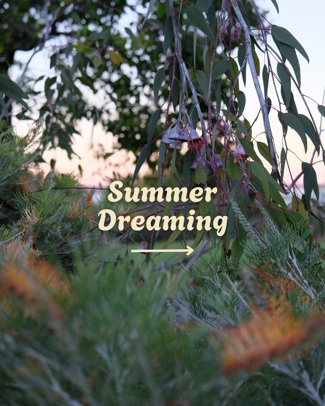 It&rsquo;s the perfect time to observe what&rsquo;s working in your outdoor space, what&rsquo;s not, and plan for next summer.

Bookings are now open for January garden consultations, starting with a free discovery call.  Find out more and book via t