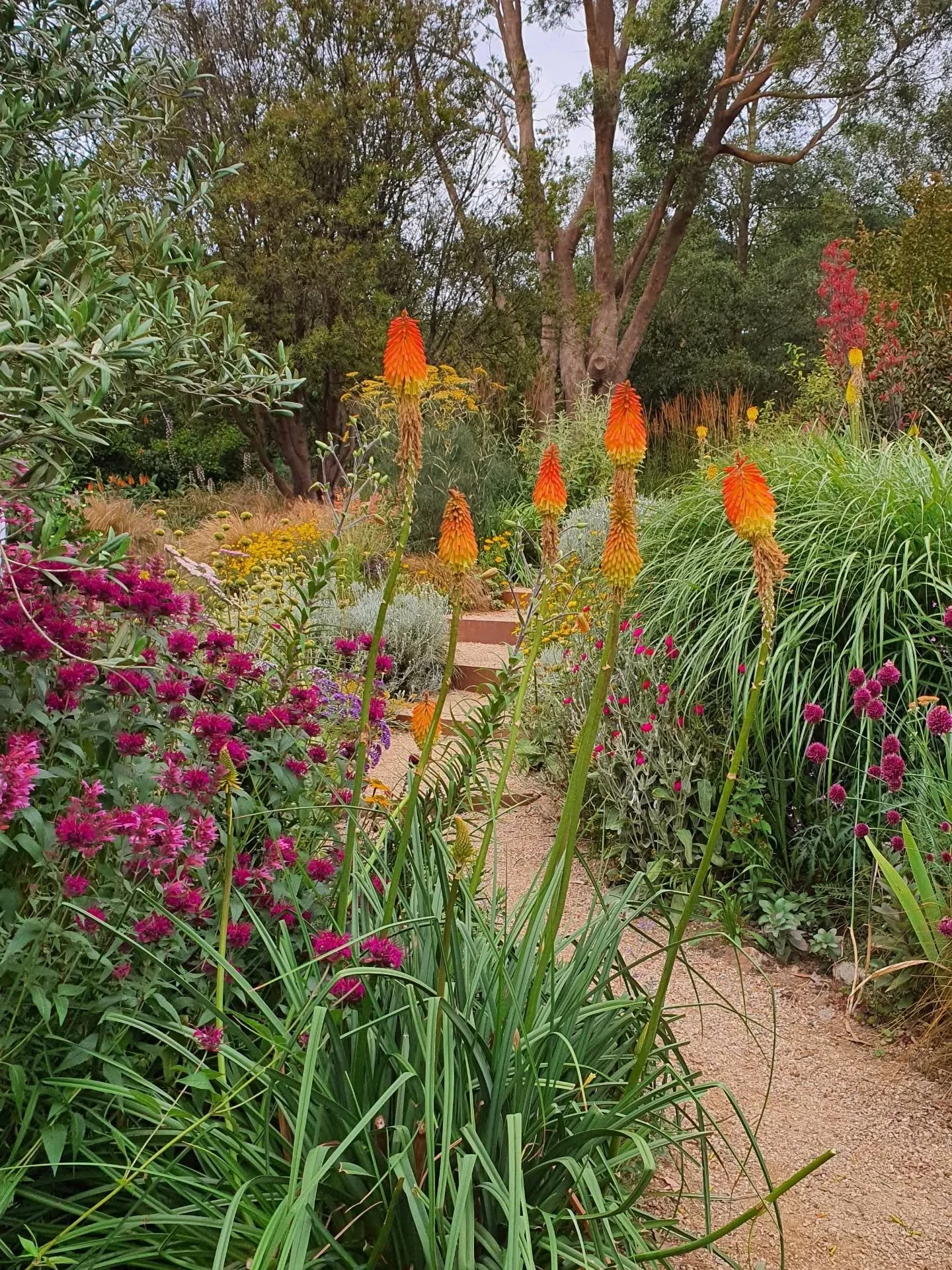Utterly enchanted by @annmaree.winter and Paul's garden and the tennis court conversion by @timothymitchell_landscape at last night's @globalgardensofpeace event. So worth the 6 hour round trip!

I still have to go through the photos I got with my 'f