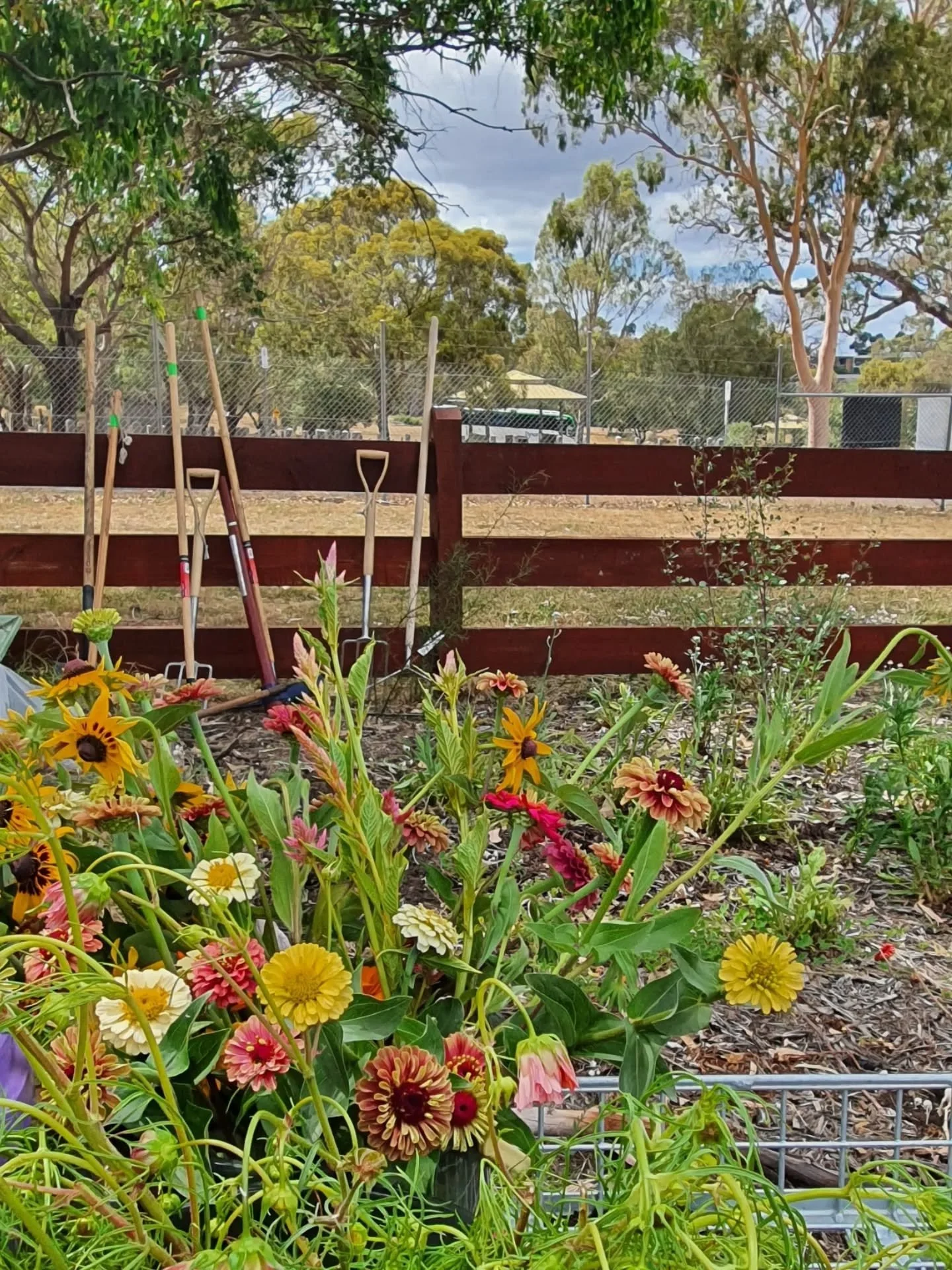 I spent a lovely morning learning about flower farming with @growingfoodjustice

Jesse and Dash took us through the whole process from preparing the soil to producing high quality blooms to saving seed.

And they shone a light on how toxic and carbon