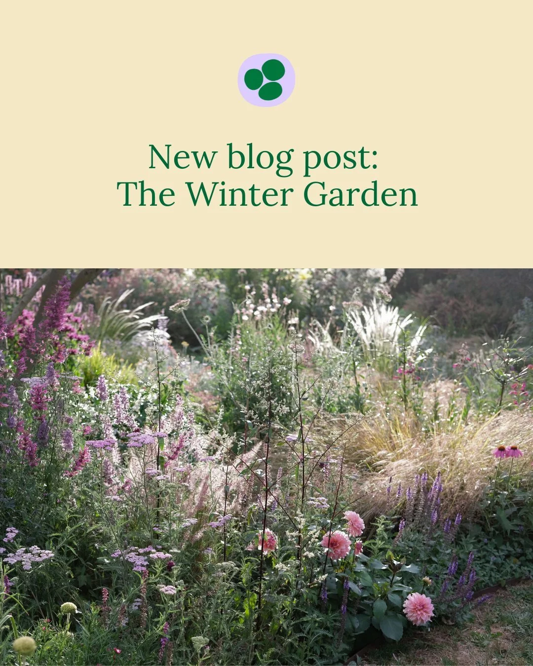 New blog post: The Winter Garden

Located in Arthurs Seat on the Mornington Peninsula, @annmaree.winter and Paul's garden is a great example of how a designer and gardener can work together to create something special. After many years building up th