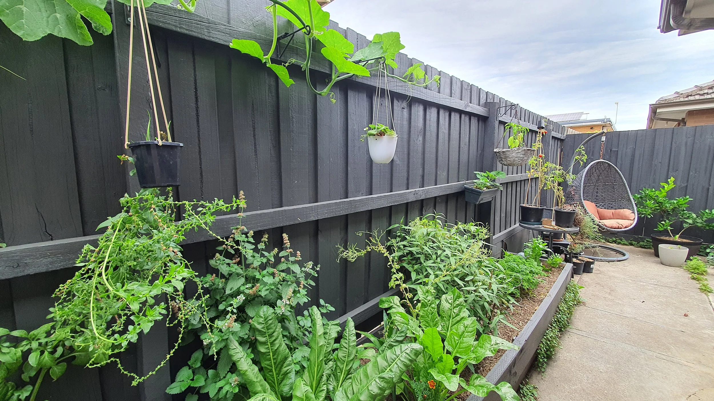 After: leafy greens, herbs and a cosy nook