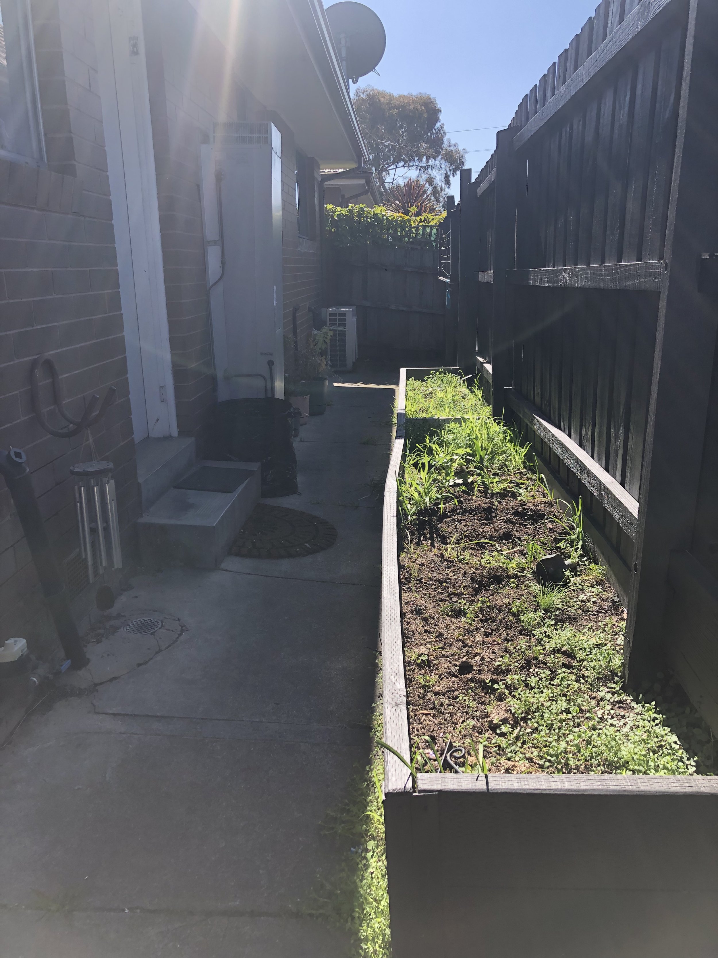 Before: a weedy rasied bed