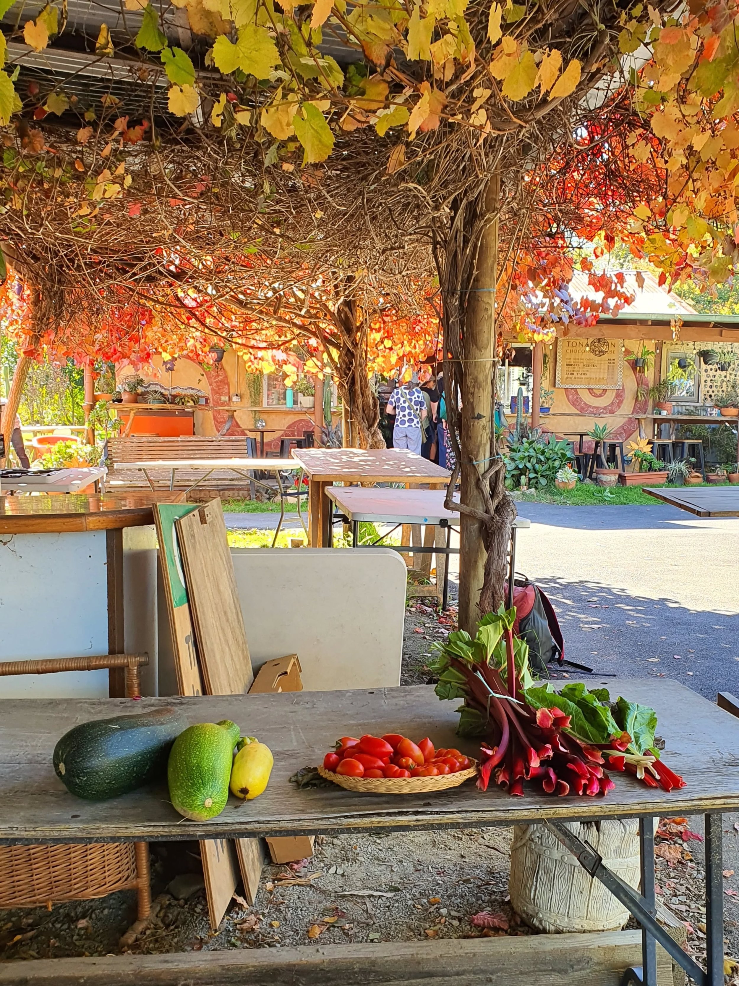 Gorgeous afternoon at @yarravalleyecoss with @encouragingwomeninhorticulture. Such an inspiring organisation supporting so many, and growing wonderful biodynamic produce. The @tonantzin_chocolate tacos were delicious too, cooked in the most charming 