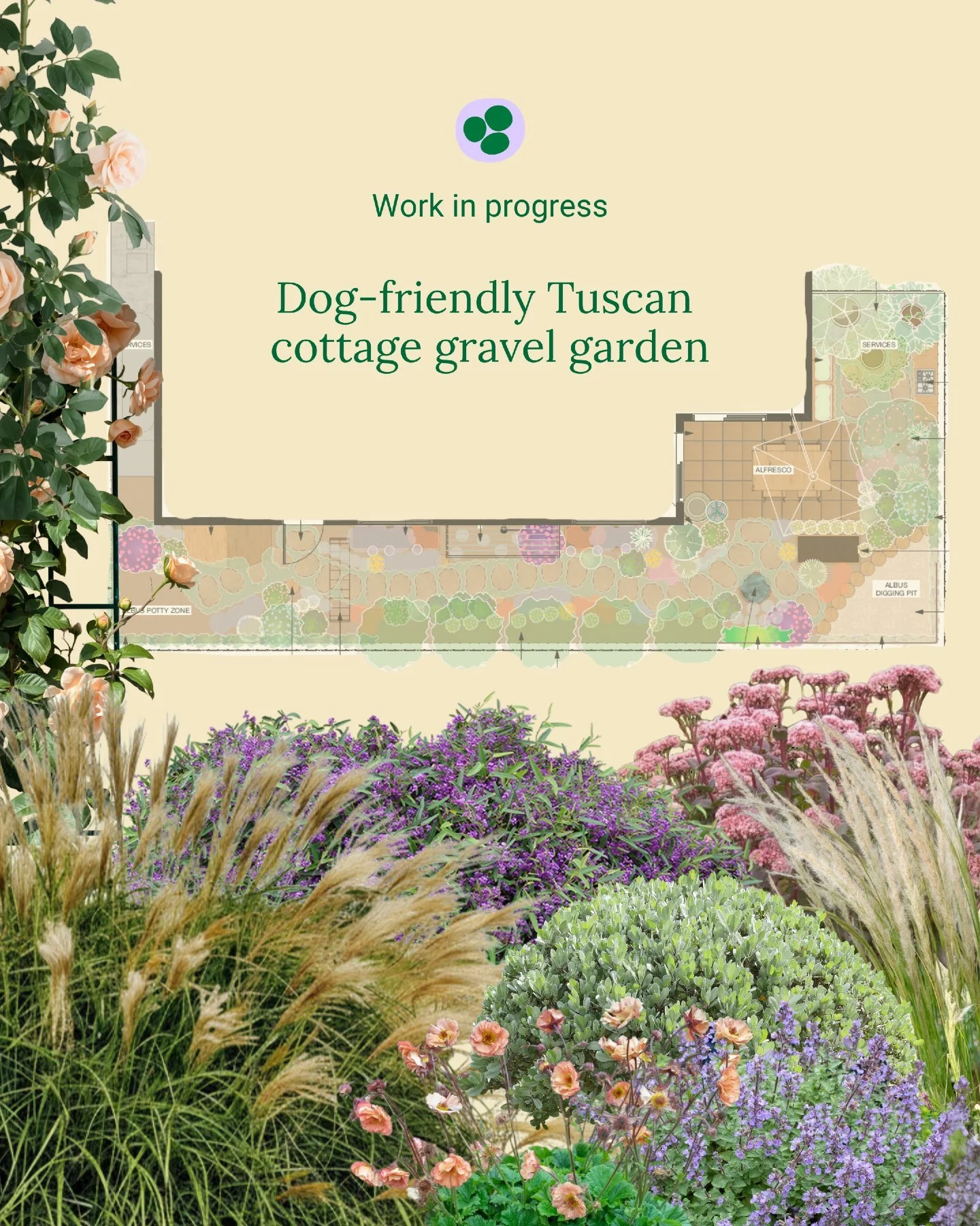 Designing this Tuscan-inspired garden for my clients and their gorgeous Border Collie has been such a joy. With an easement to consider, we've had to get creative with placement of trees and hardscaping. The entire garden will be planted into locally