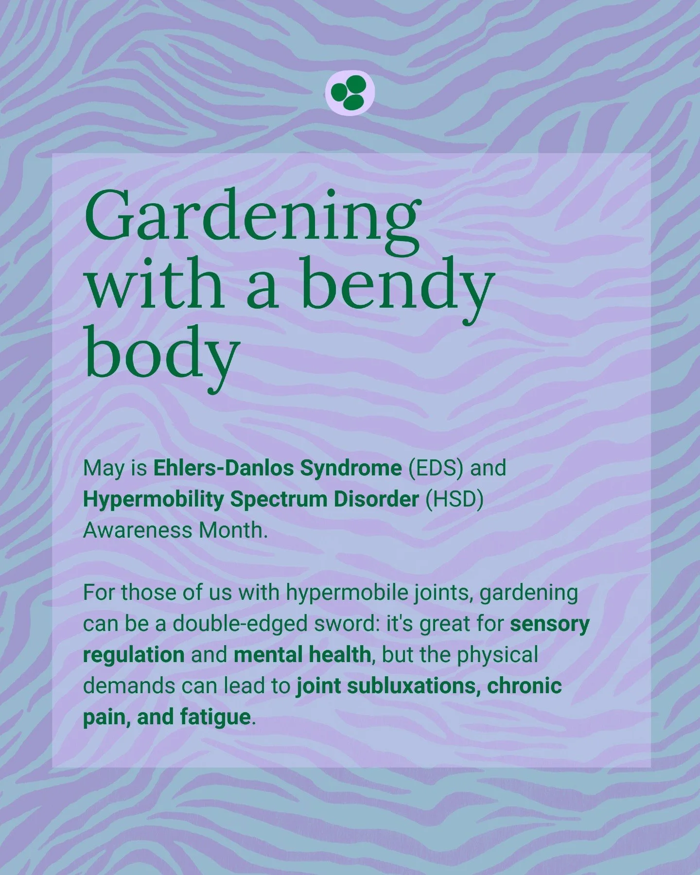 🦓 May is Ehlers-Danlos Syndrome (EDS) and Hypermobility Spectrum Disorder (HSD) Awareness Month. 

For those of us with hypermobile joints, gardening can be a double-edged sword: it's great for sensory regulation and mental health, but the physical 