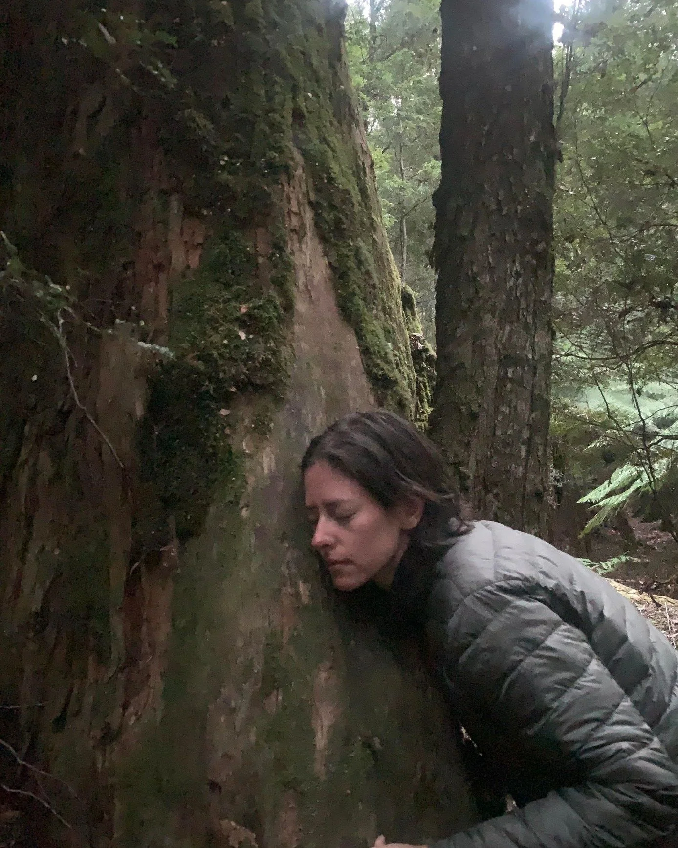 Today is International Day for Biological Diversity. This years' theme, &ldquo;Acting locally for global impact&rdquo;, has never felt so important as trees are being senselessly destroyed all over this country. I grieve for those trees and the life 