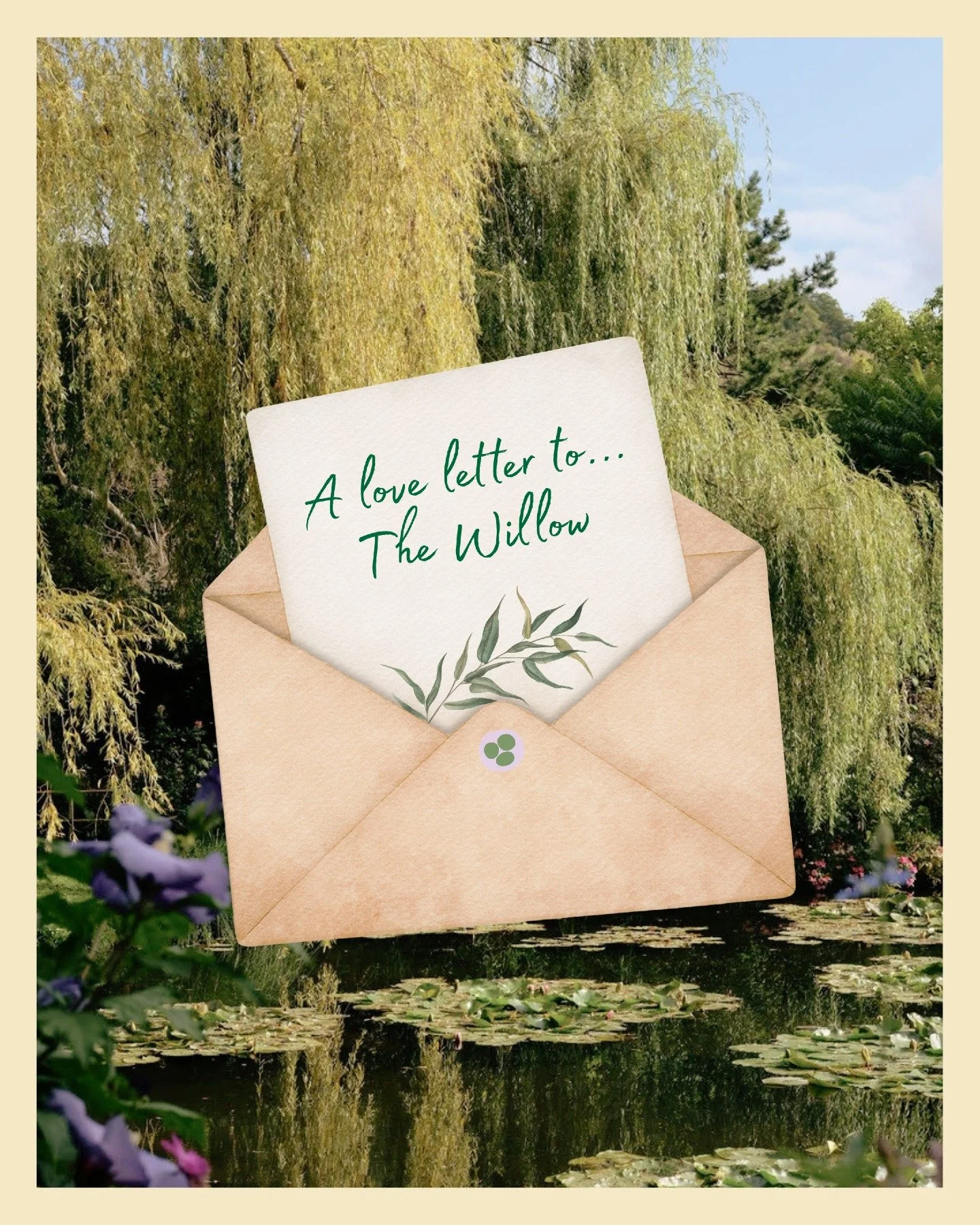 💌 A love letter to The Willow
Dearest willow, you were one of the first trees I knew. You were the green curtain I could hide behind when the world was too overwhelming to bear.

You became my Grandmother Willow, like you were for Pocahontas; granti