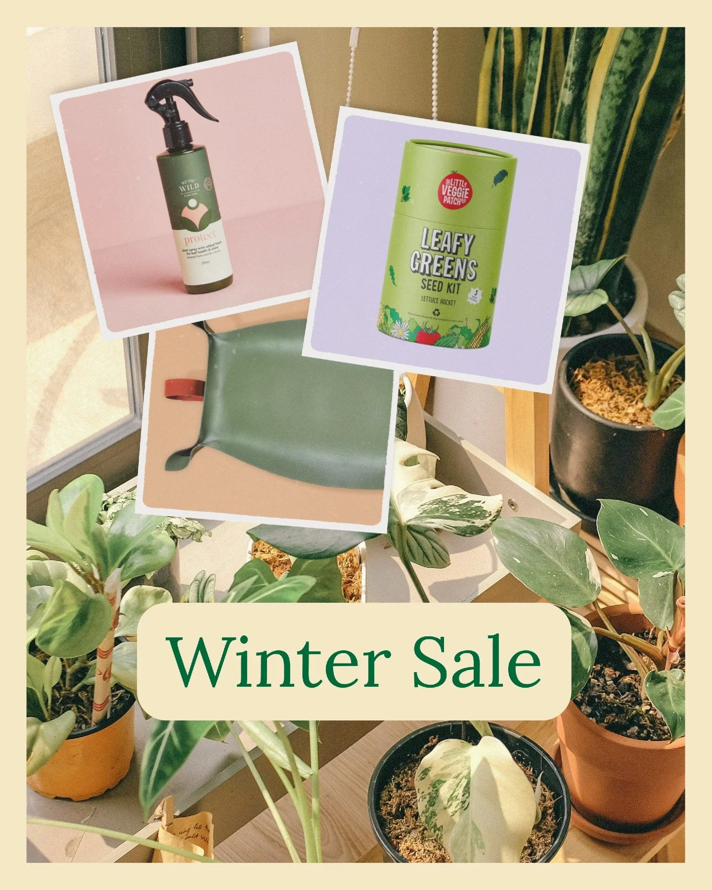 We're almost at the Winter Solstice, and nothing beats the winter blues like watching something grow. Keep your indoor or balcony garden thriving all season with organic plant care and heirloom seeds. On sale now!

Shop via link in bio.

#IndoorGarde