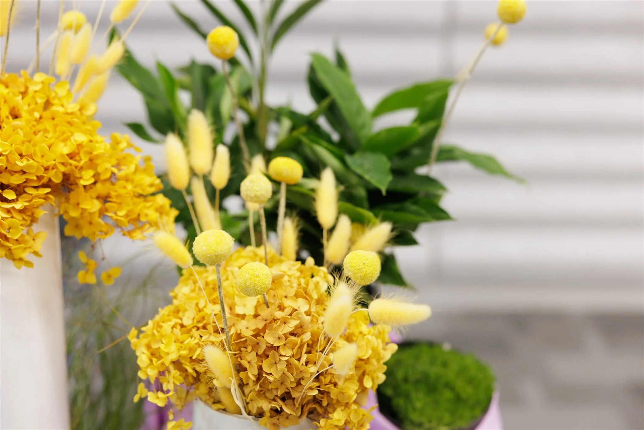 Floral installation with yellow billy buttons