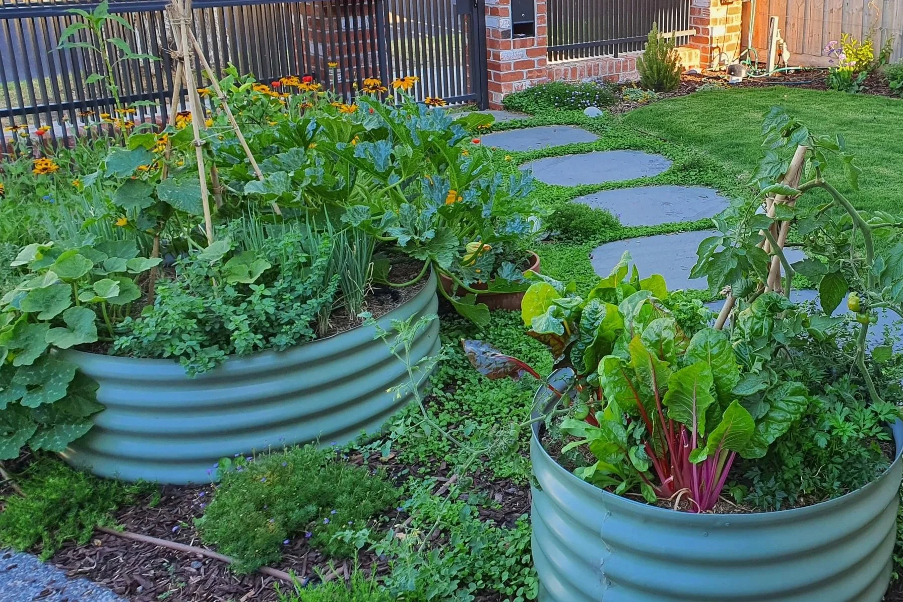A lush raised vegetable garden with bluestone pavers and native plants in the background