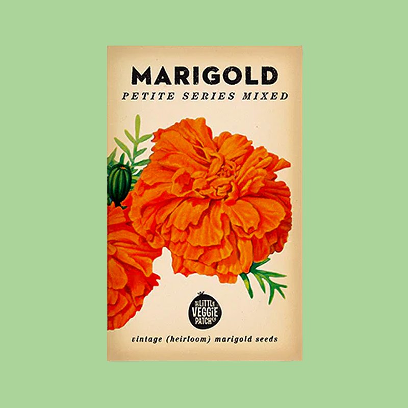 little-veggie-patch-co-seed-marigold.jpg
