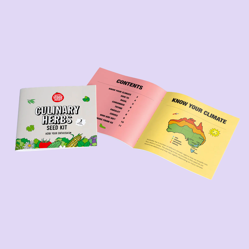 little-veggie-patch-co-seed-kit-culinary-herbs-3.png