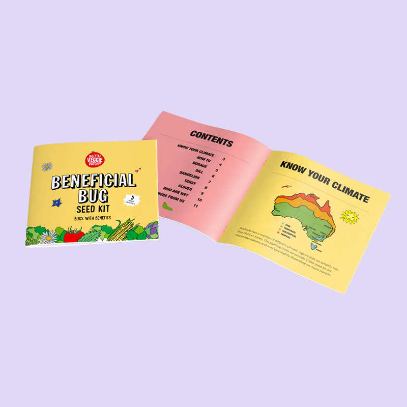 little-veggie-patch-co-seed-kit-beneficial-bug-2.png