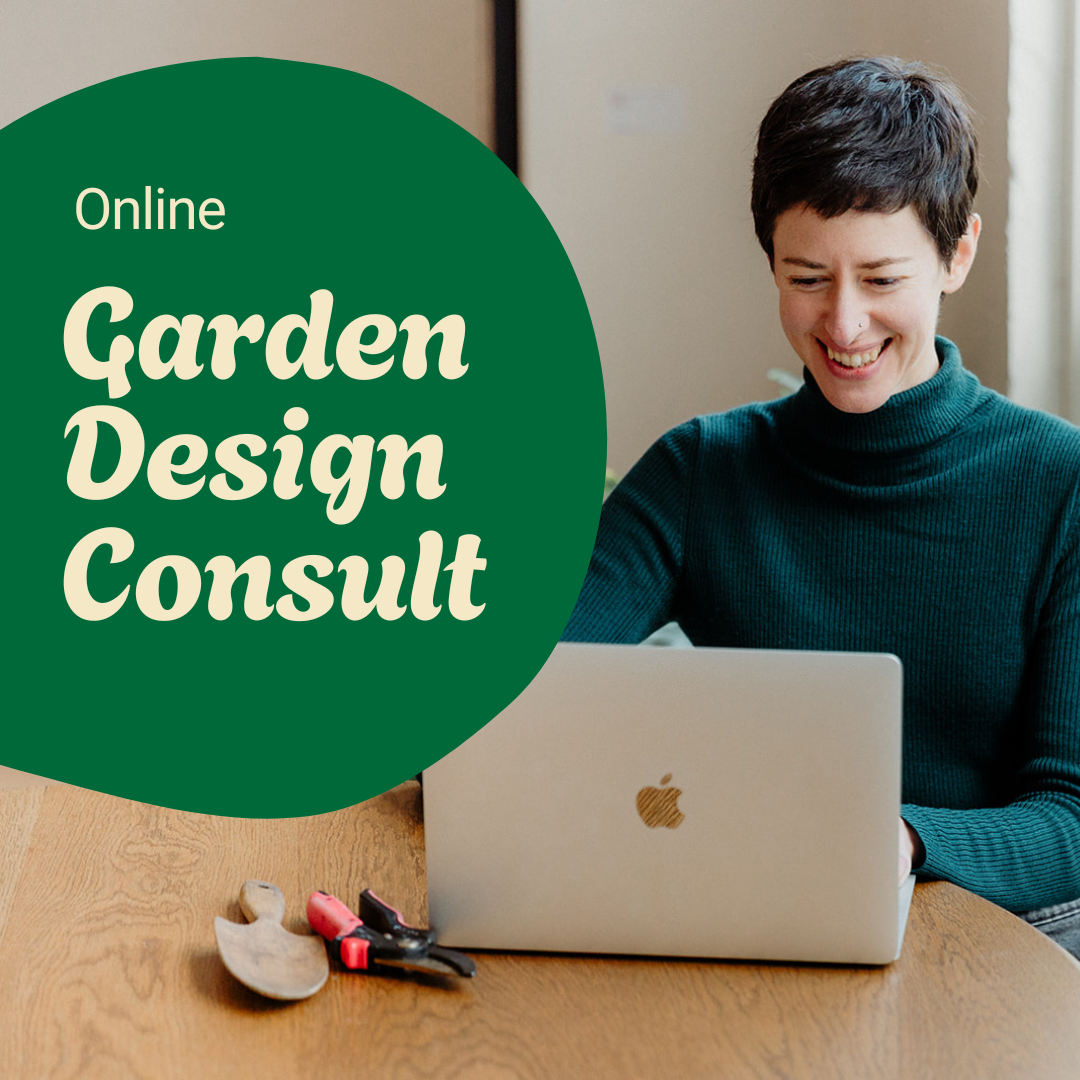 Garden design consultation (Copy)