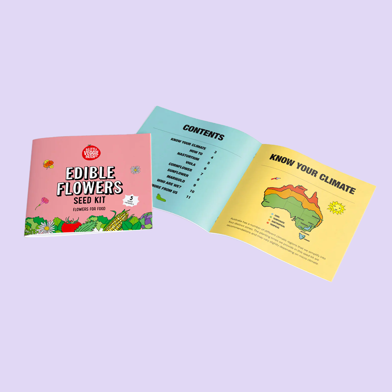 little-veggie-patch-co-seed-kit-edible-flowers-3.png