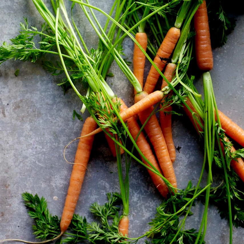 little-veggie-patch-co-seed-carrot-2.png