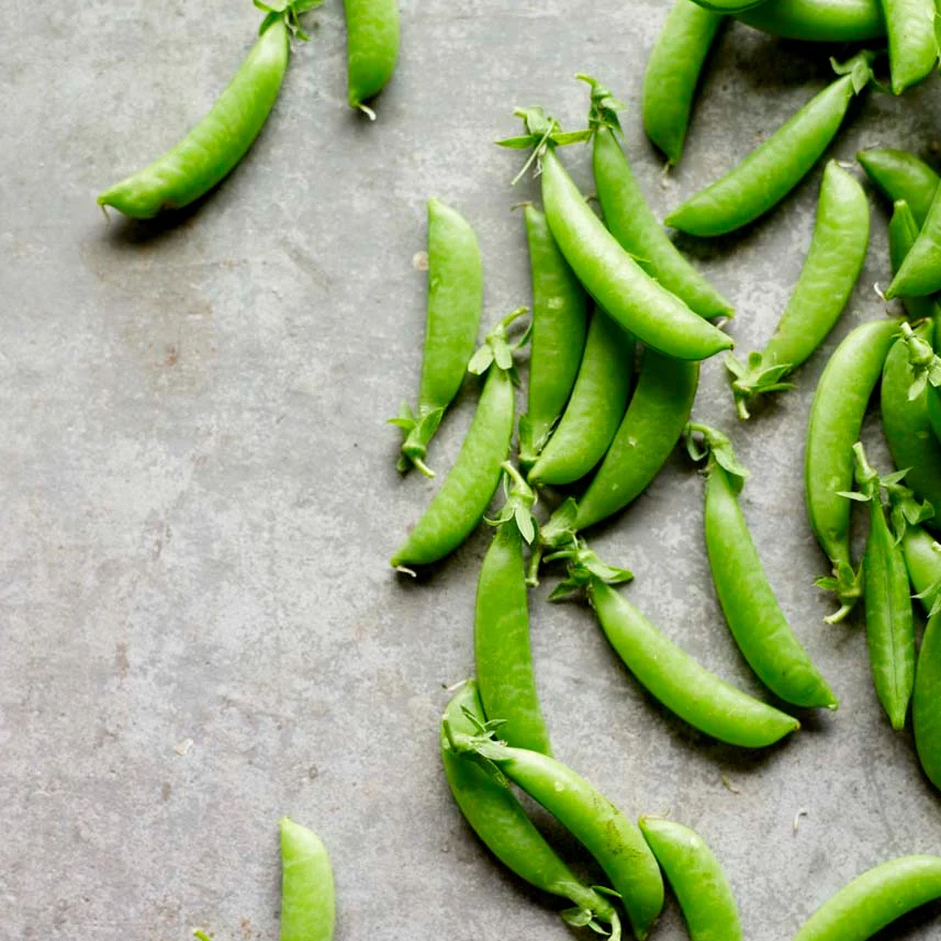 little-veggie-patch-co-seed-pea-sugar-snap-1.png