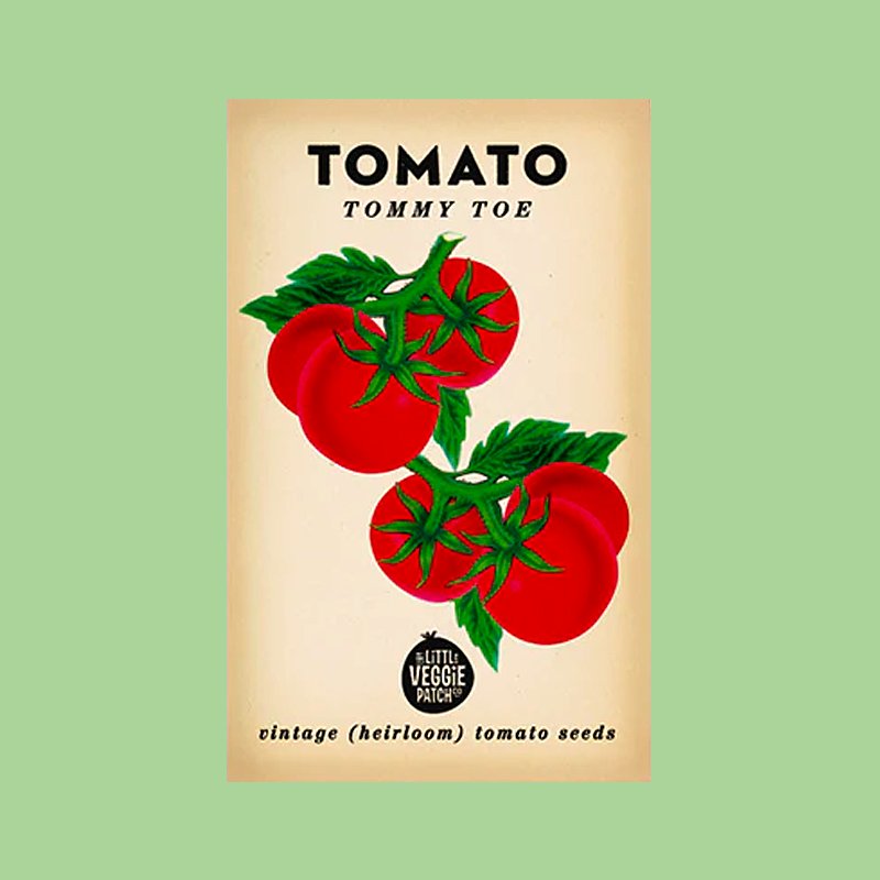 little-veggie-patch-co-seed-tomato-tommy-toe.jpg
