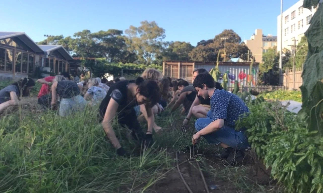 A white woman in focus, smiling and crouching down and weeding alongside a group of other people.