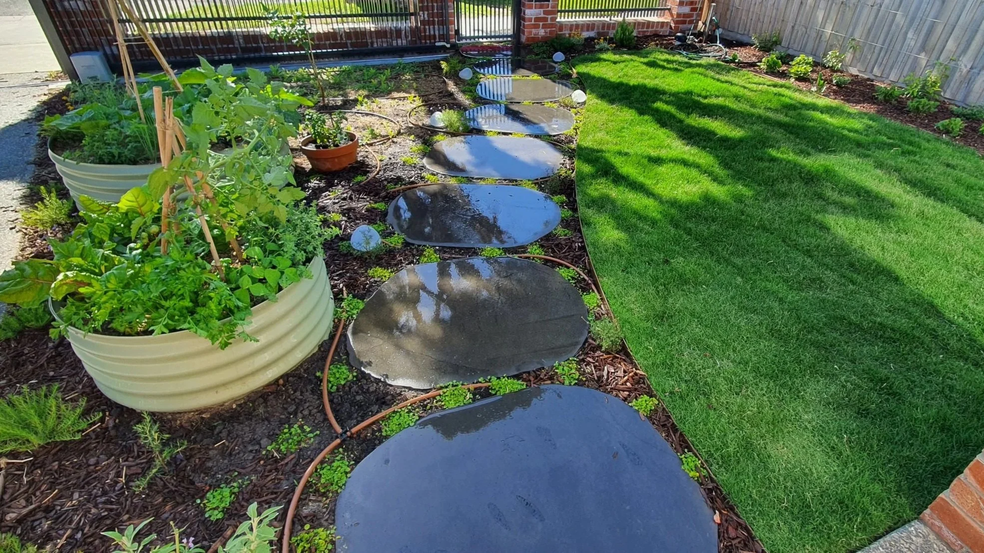 Raised veg beds, lawn and steppers