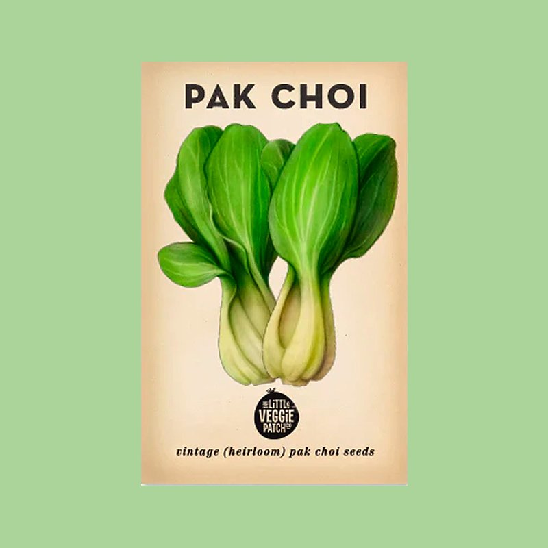 little-veggie-patch-co-seed-pak-choi.jpg