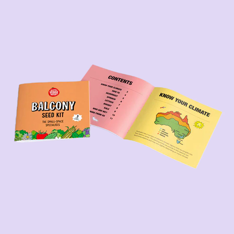little-veggie-patch-co-seed-kit-balcony-5.png