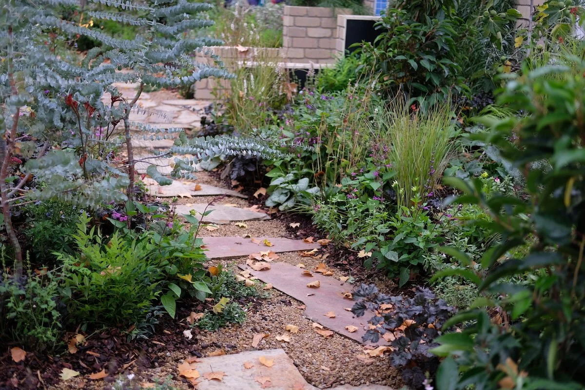 Leave the Leaves this Autumn