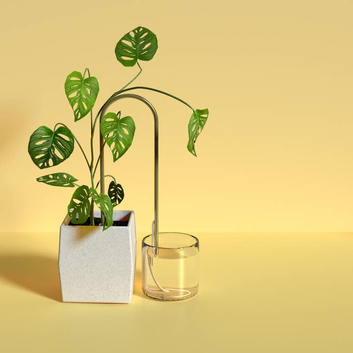 we-the-wild-plant-climber-wick-2.png