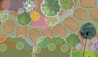 Low water garden design plan