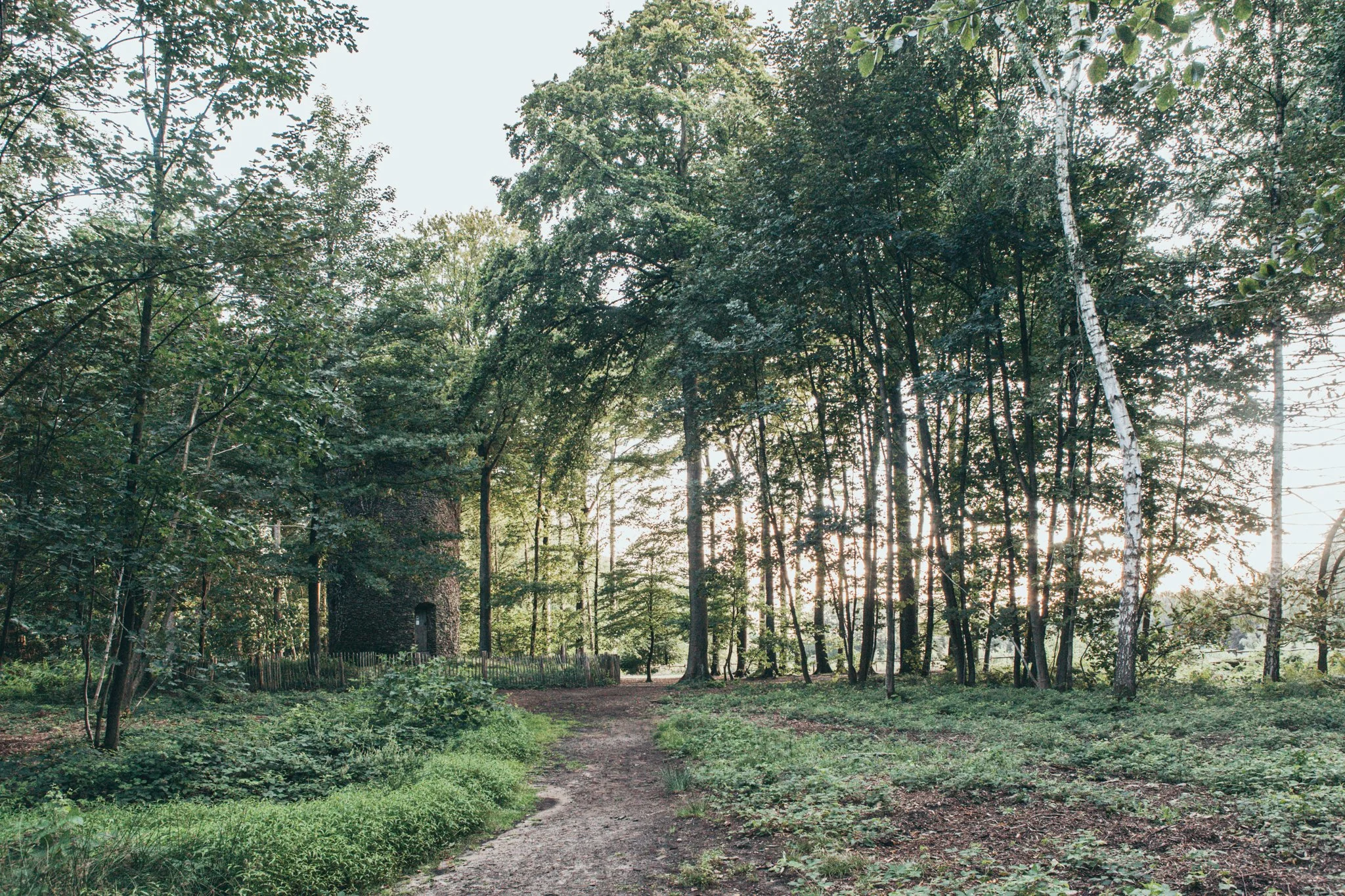 Versterking van natuur en landschap