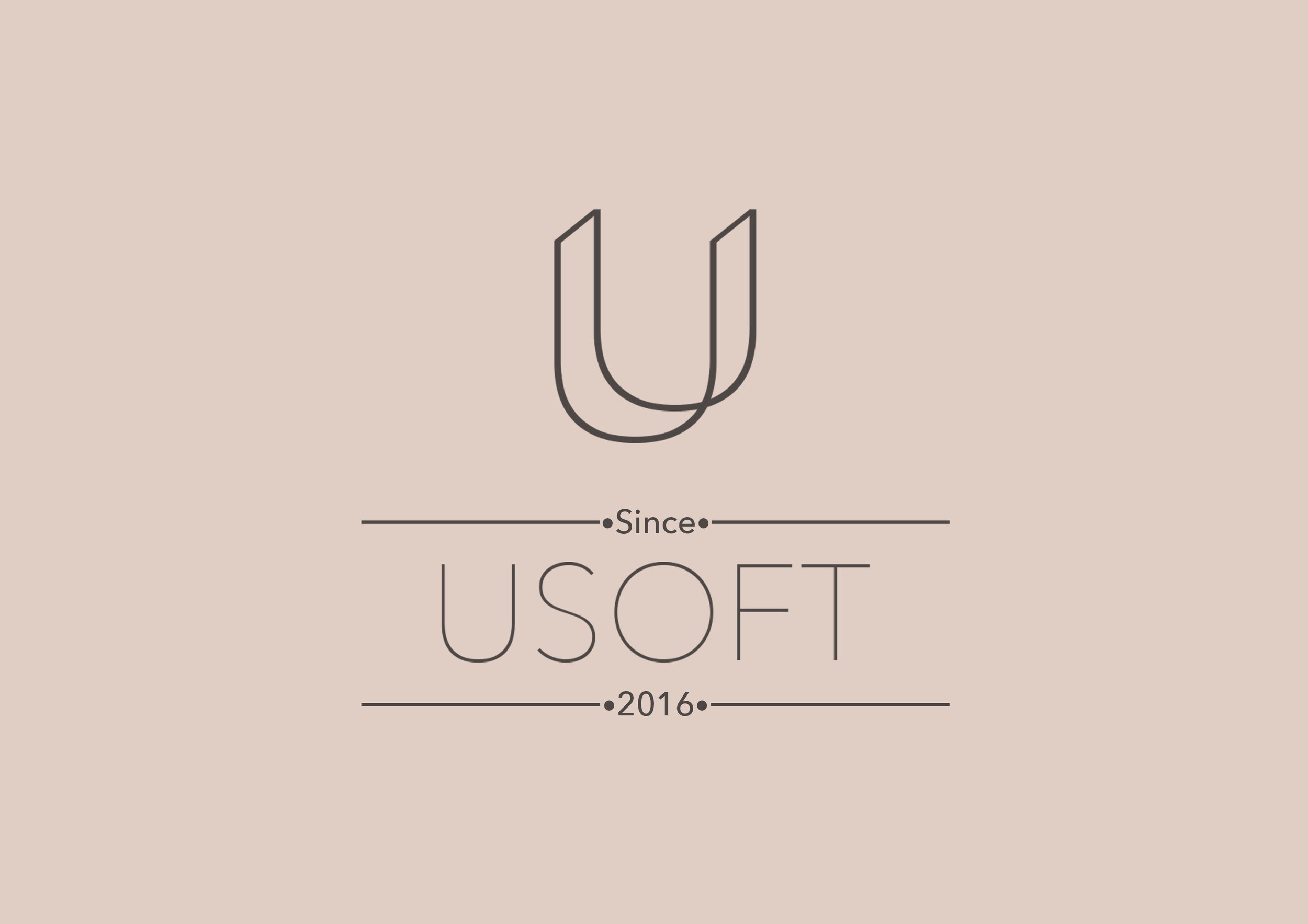 Usoft 4.jpg