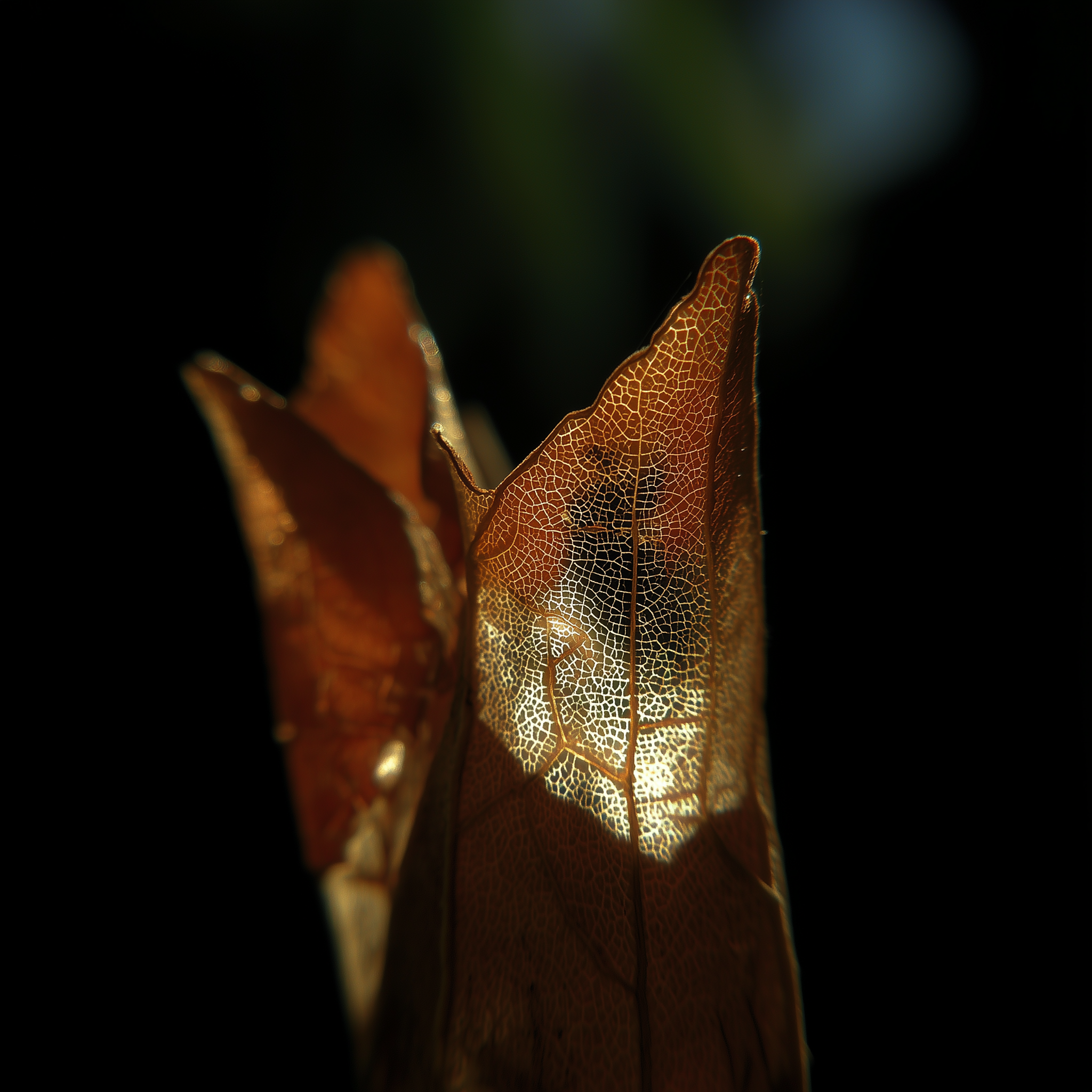 1 - Easily Overlooked Structure.png