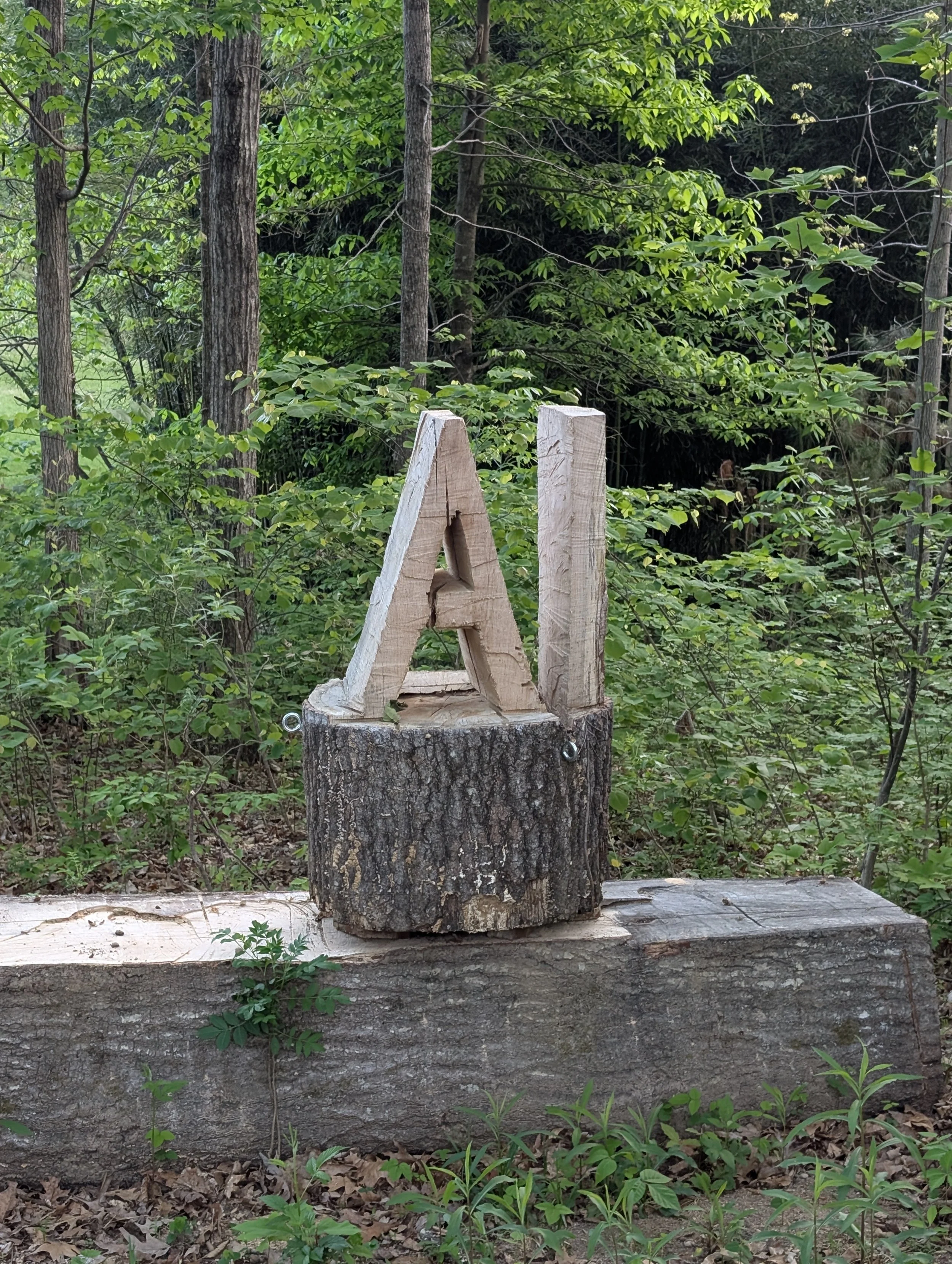 Hand-Carved AI | Chainsaw-carved red oak log, woodland installation | Proposed public installation, Museum Center at Five Points, Cleveland, TN