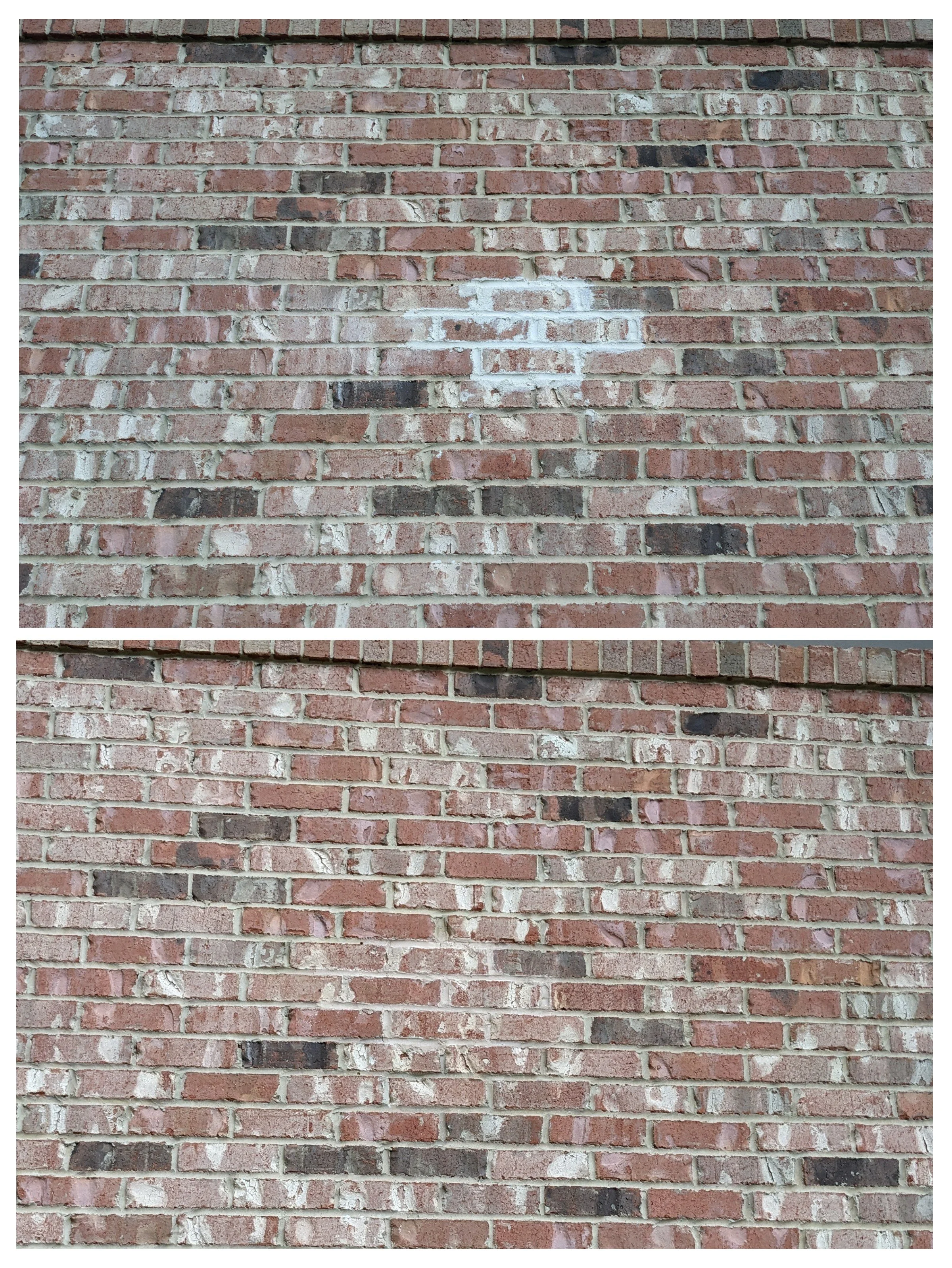 20230602_155223-COLLAGE.jpg