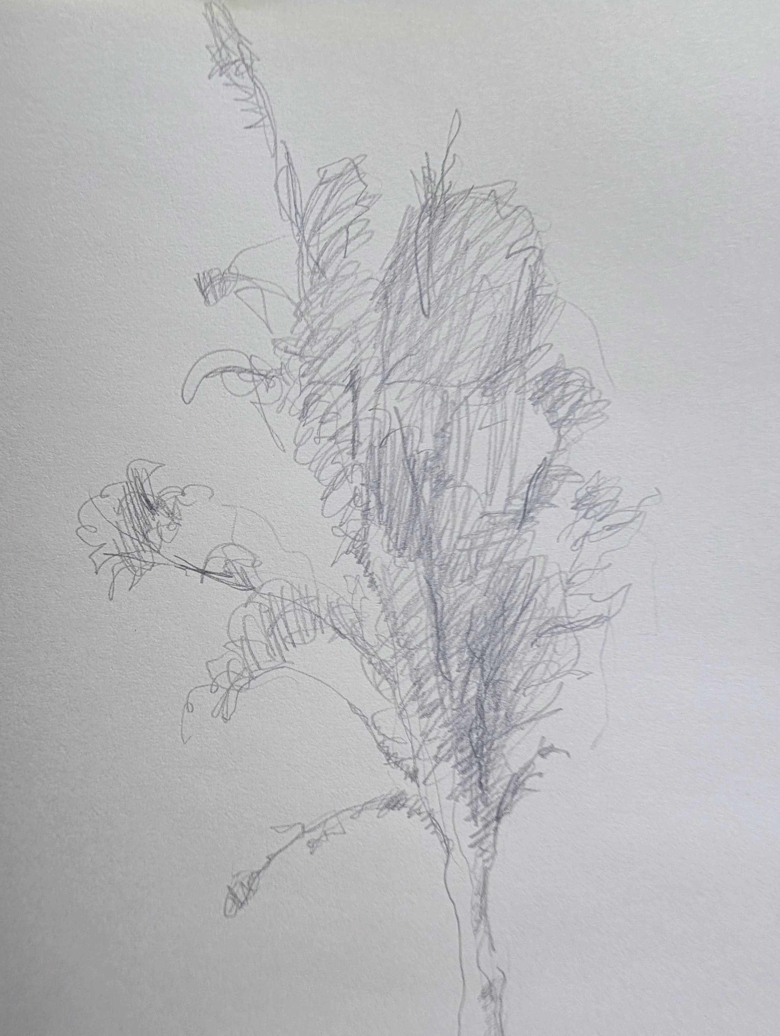 Traffic Sketch (Detail) | Graphite on paper observational drawing created while stopped in traffic