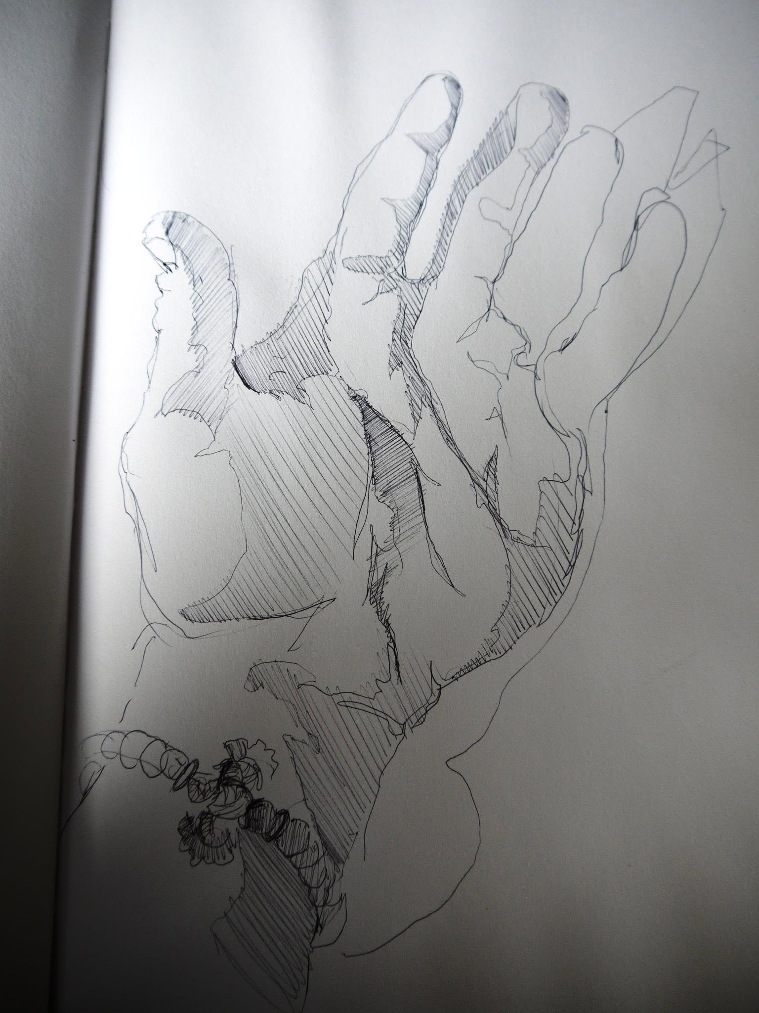Anatomical Hand Study | Line work, hatching, and foreshortening, sketchbook study