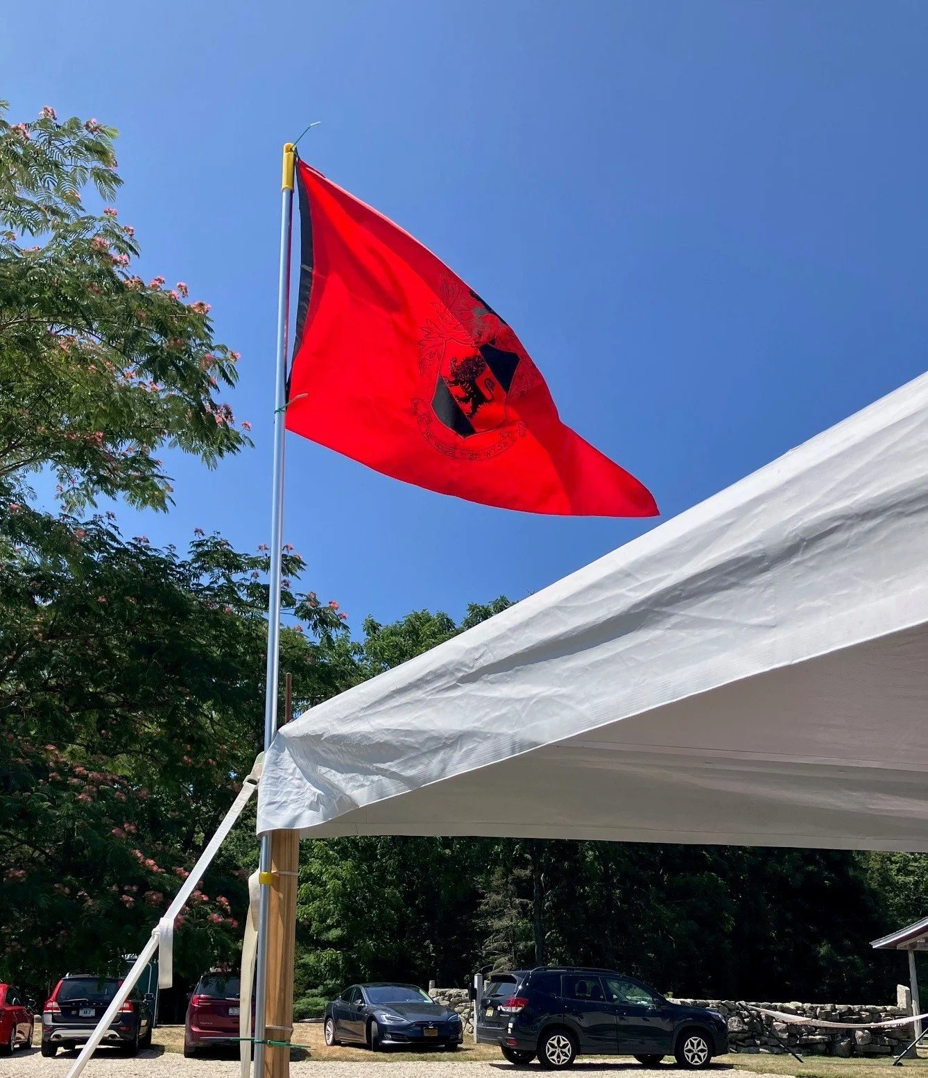 Flag - edit  8-9-25.jpg