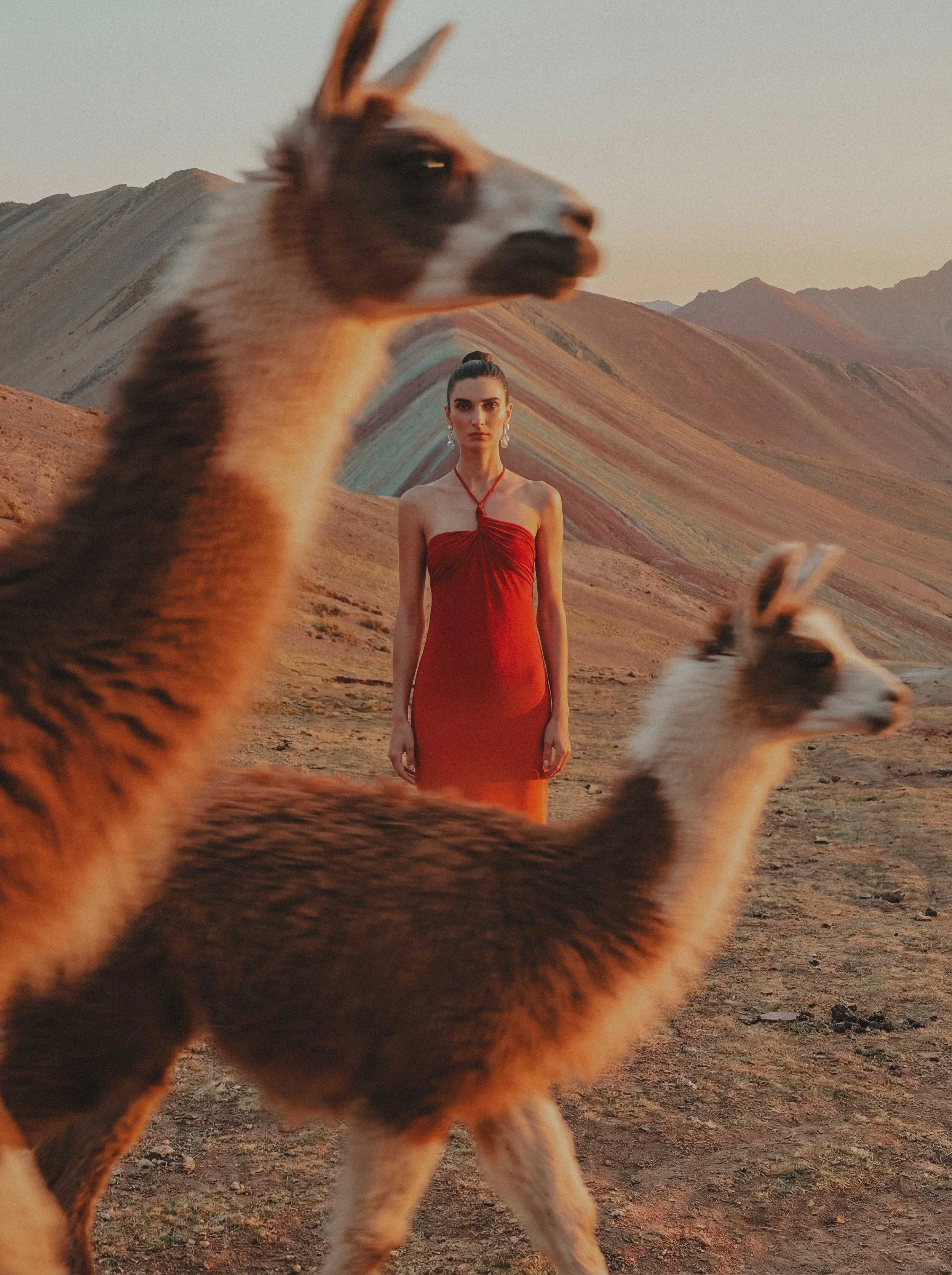 BAOBABxVINICUNCA_EDITORIALS_LOW-RES-2.jpg