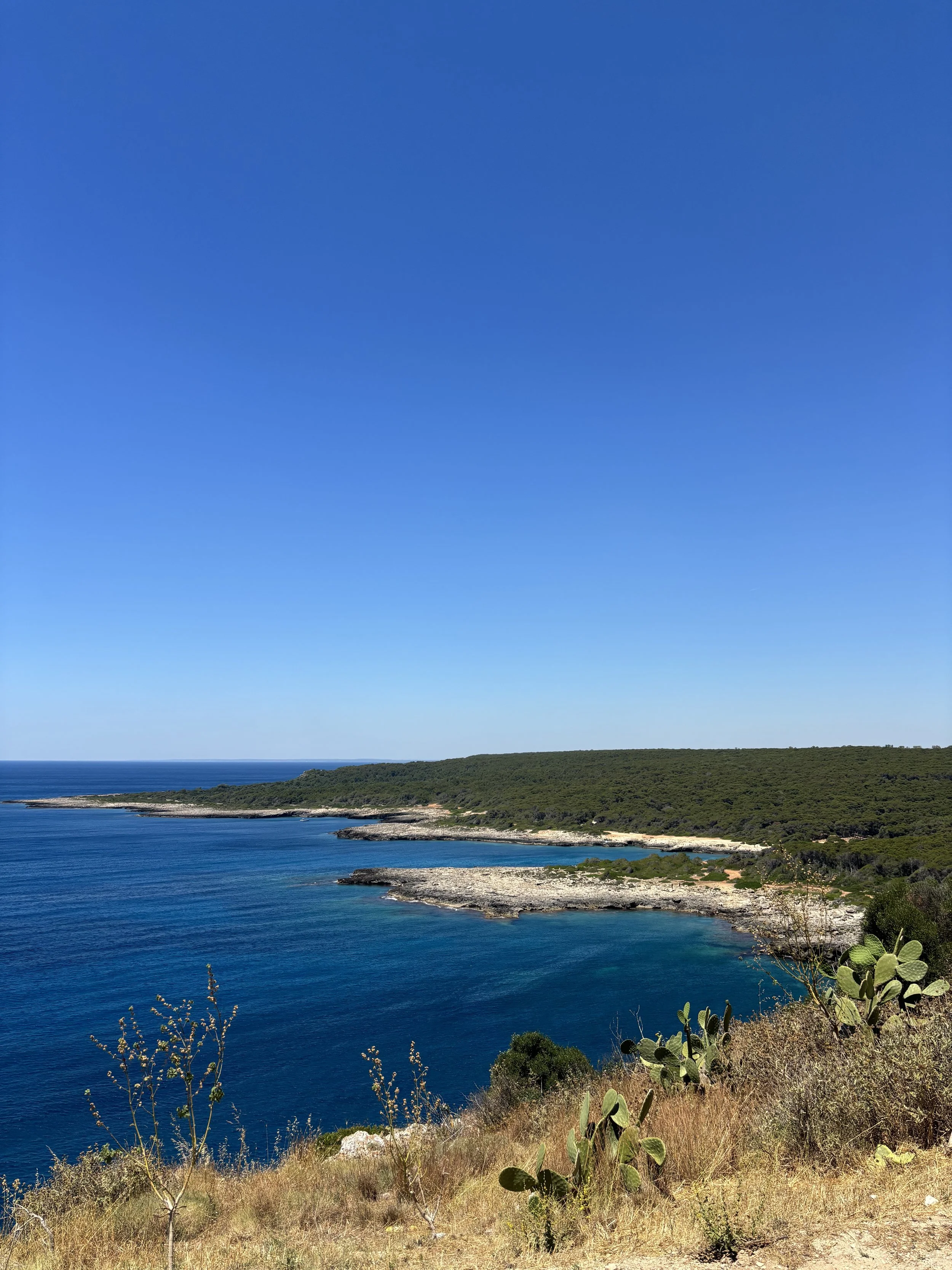 QUANDO UN PAESAGGIO CAMBIA, CAMBIA QUALCOSA ANCHE DENTRO DI NOI.