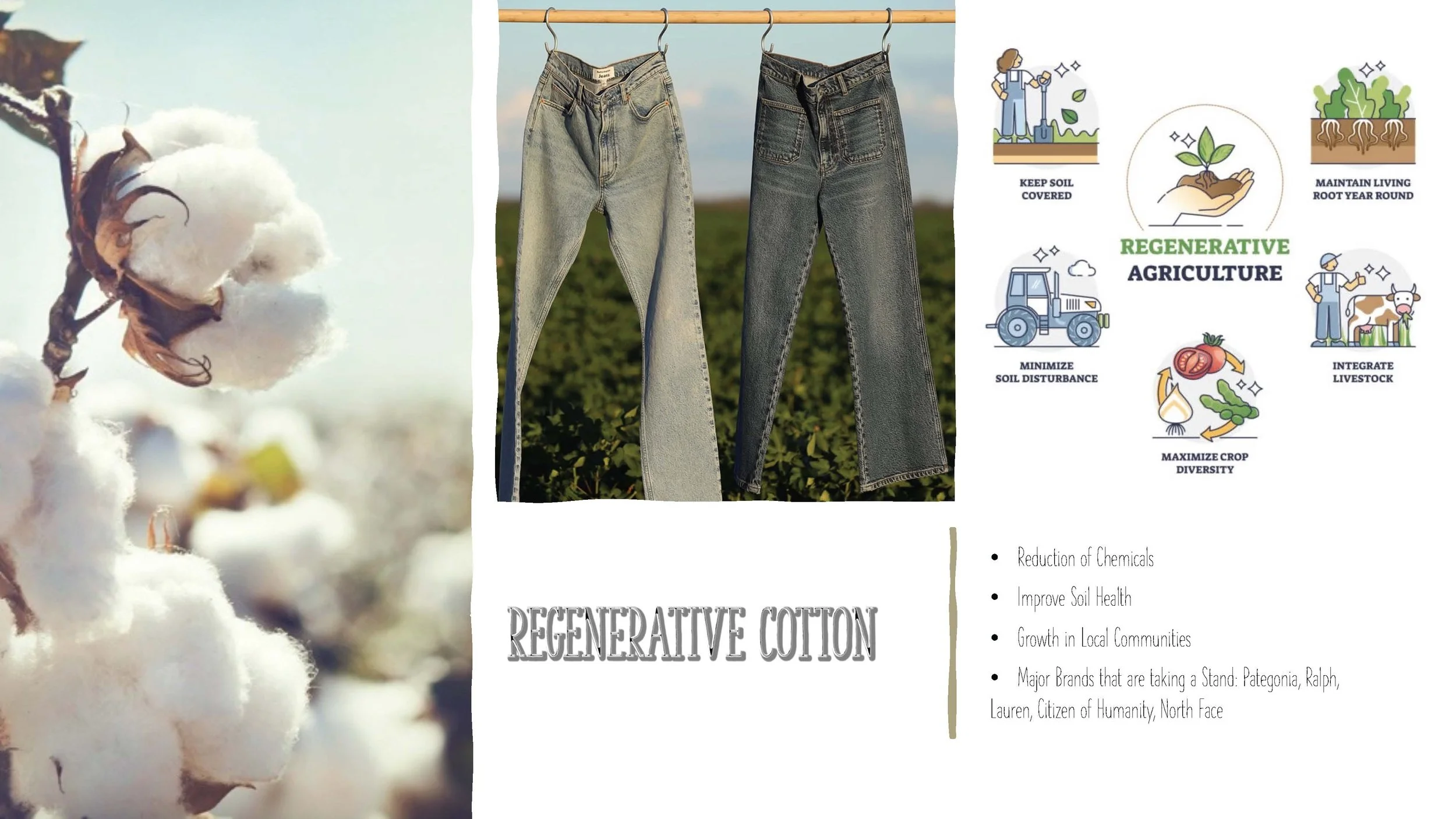 Target Presentation_Page_11.jpg