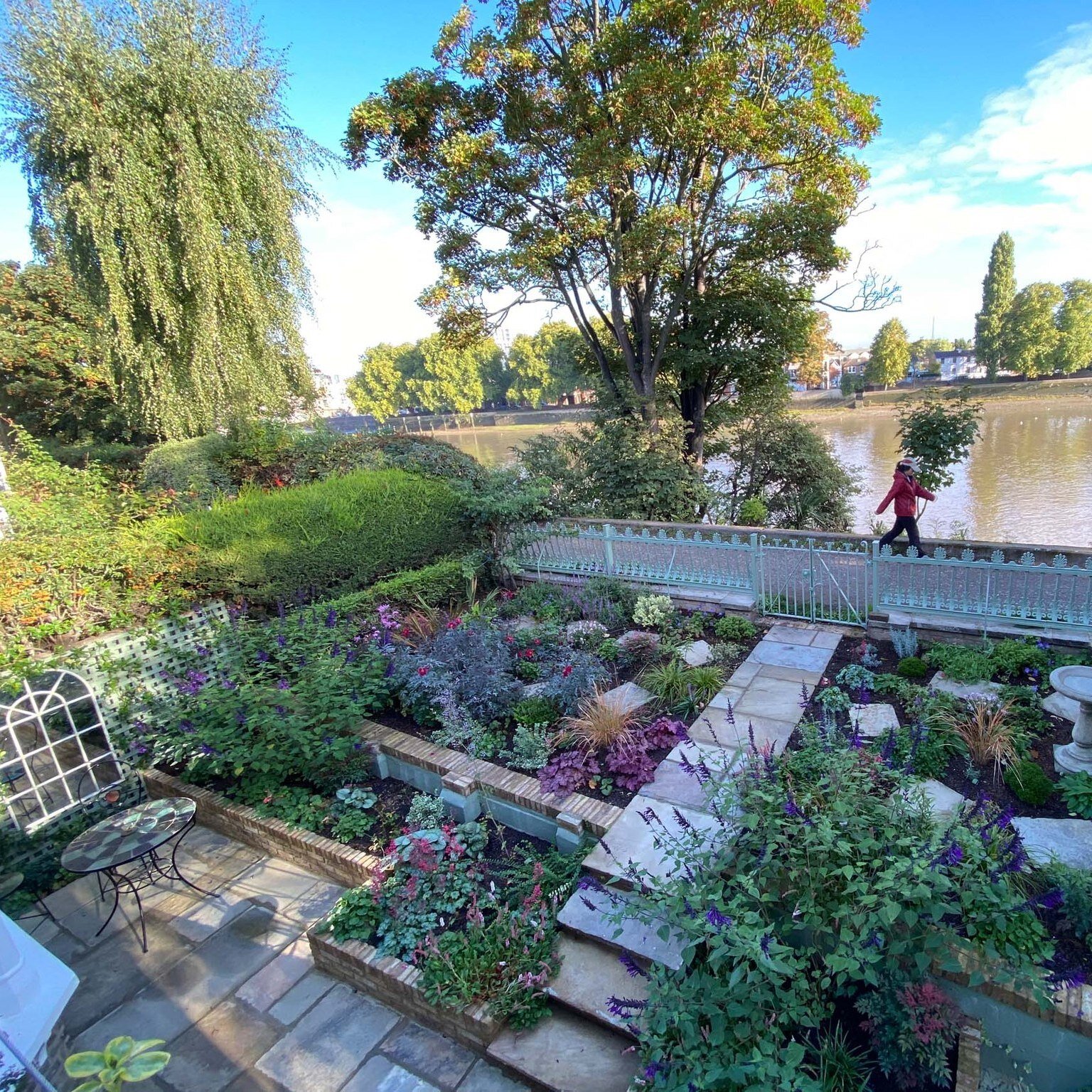 I always love walking past this gorgeous Kew cottage garden by the Thames towpath which I designed last year. My clients asked for exuberant planting, which works so well in this wonderful setting! Many thanks to @positivegardenltd for the excellent 