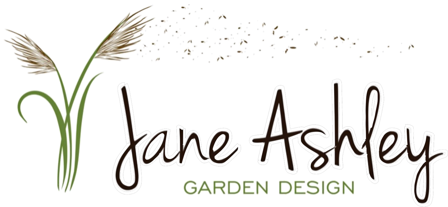 Jane Ashley Garden Design - Award Winning Garden Designer in West London