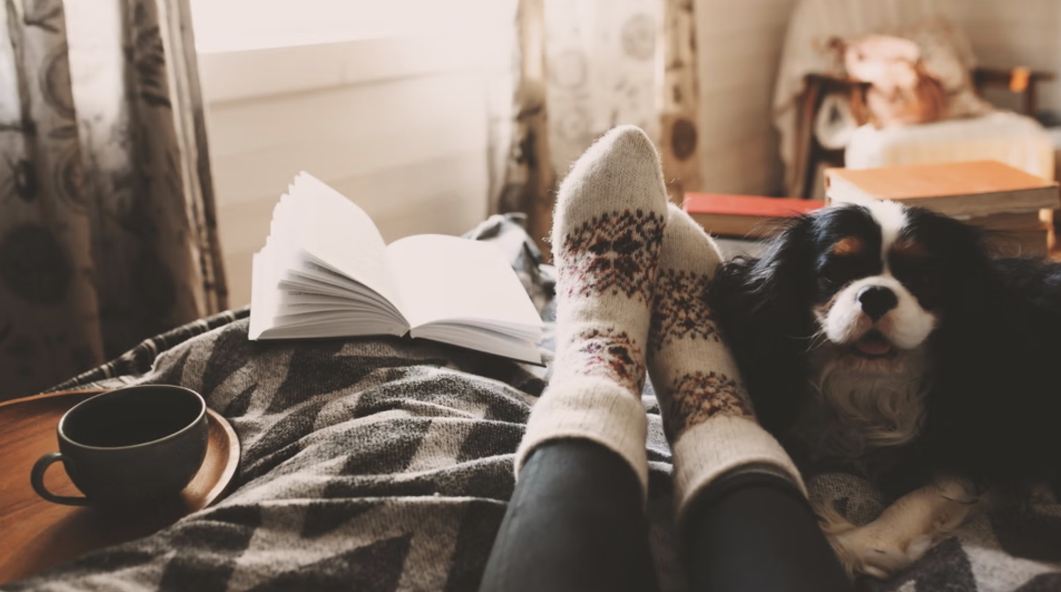 A cozy fall scene with small white pumpkins, a lit candle, a notebook, a pair of glasses, and dried leaves on a soft blanket.
