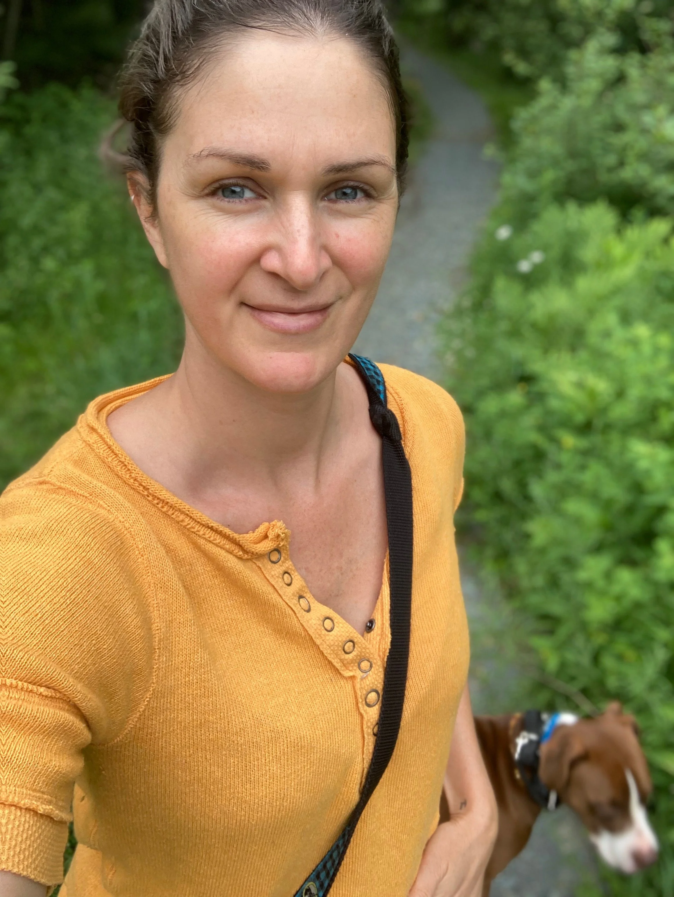 Scenic landscape with mountains in the background, a lake, and grassy hills in the foreground.