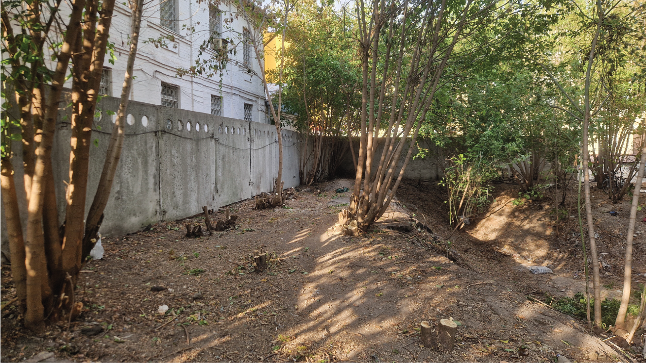 Podil Urban Farm - Kyiv - Community Garden Ukraine / Поділ сад-город