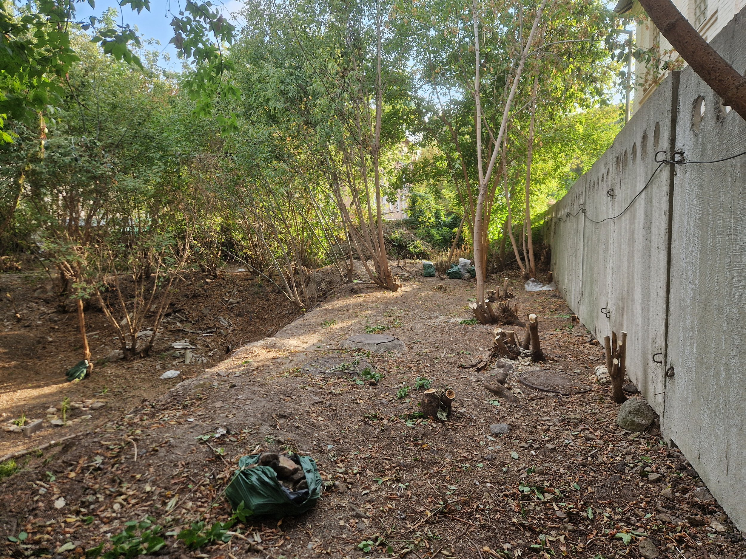 Podil Urban Farm - Kyiv - Community Garden Ukraine / Поділ сад-город