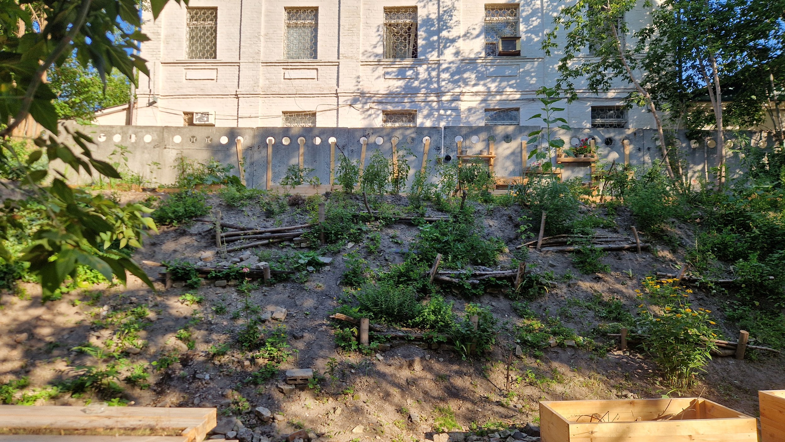 Podil Urban Farm - Kyiv - Community Garden Ukraine / Поділ сад-город