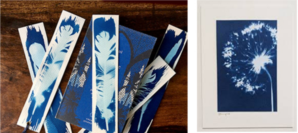 BOTANICAL EXPLORATION WORKSHOP