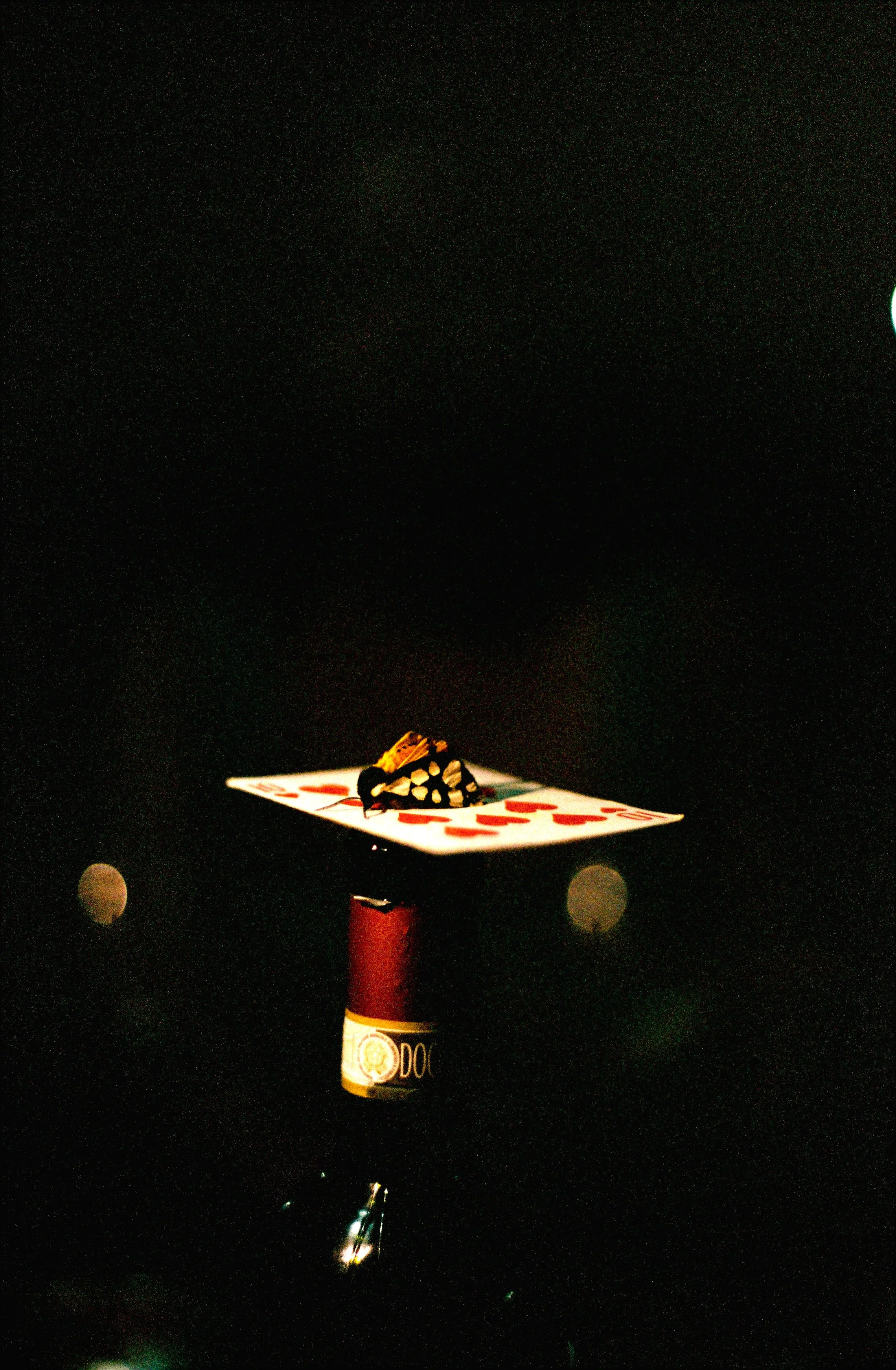 In Mindless Pursuit of Trivial Pleasures - A solo show by Stephanie Kelly 