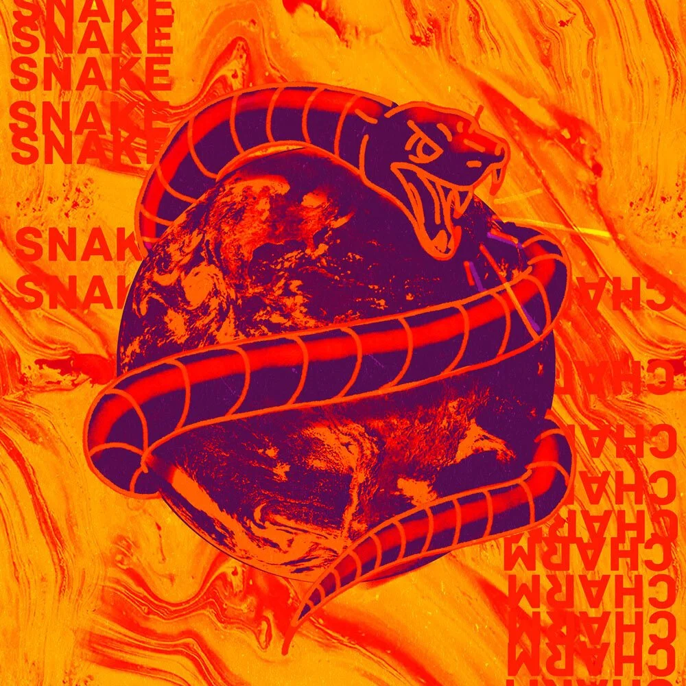 snake-charm-19-02-18.jpg